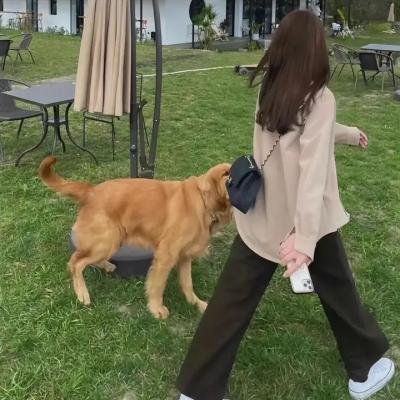 巨无霸
